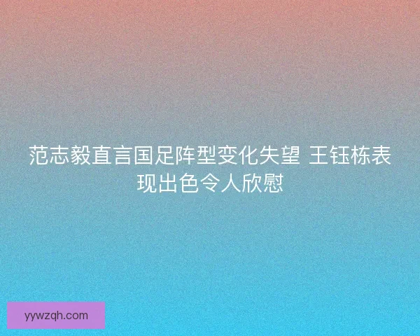 范志毅直言国足阵型变化失望 王钰栋表现出色令人欣慰